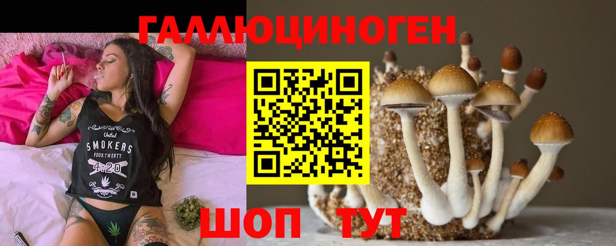 Сатка  Галлюциногенные грибы мицелий  Псилоцибиновые грибы Cubensis  Вход с VPN 