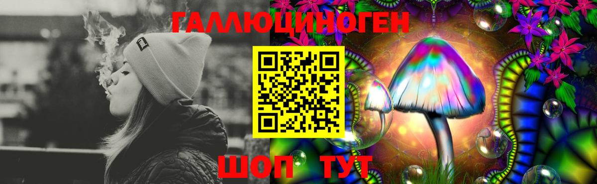 Псилоцибиновые грибы Psilocybine cubensis Сатка